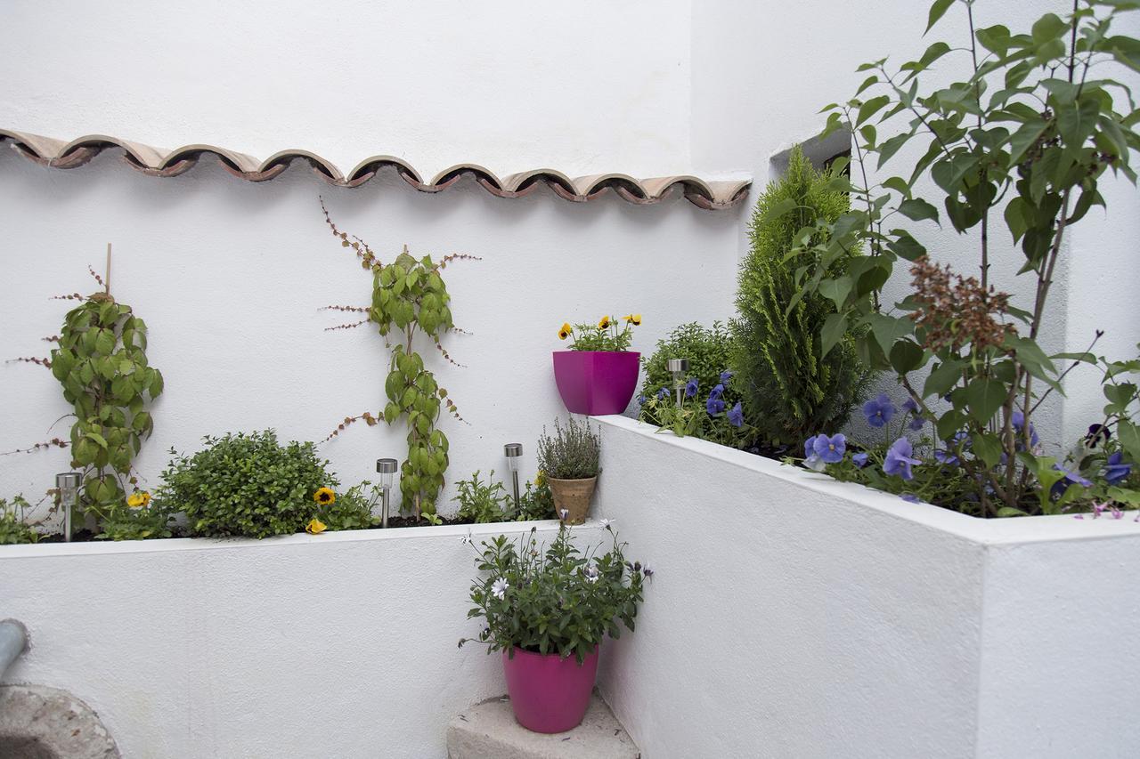 קואנקה Green River Hostel מראה חיצוני תמונה